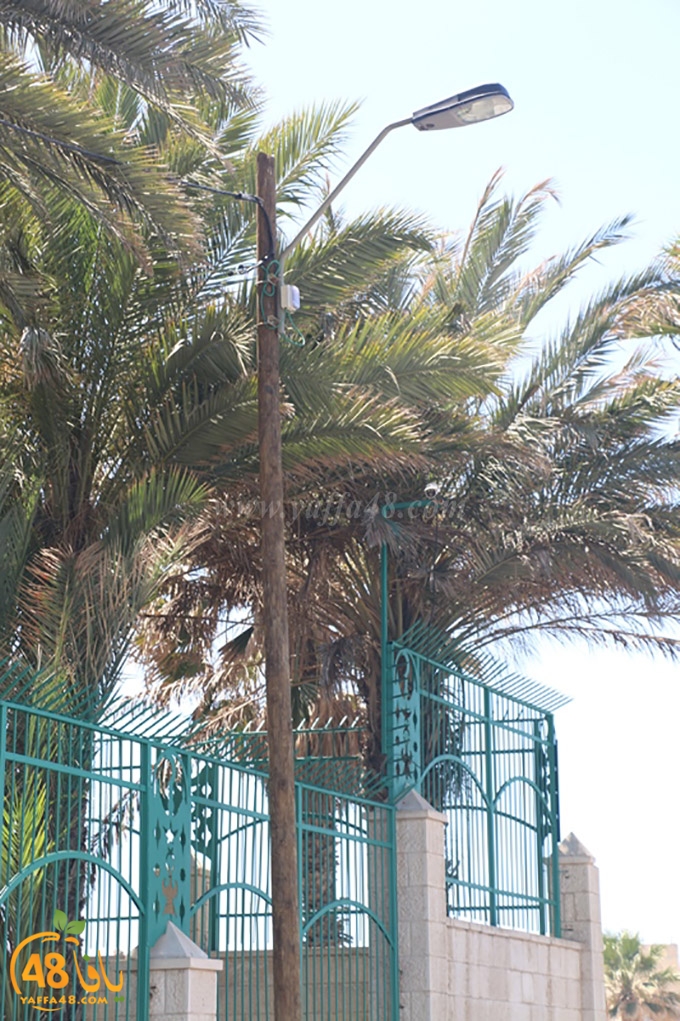 inara 7sanbek (9).JPG